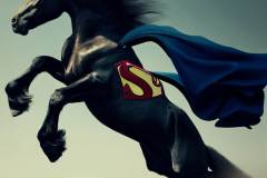 supermanhorse